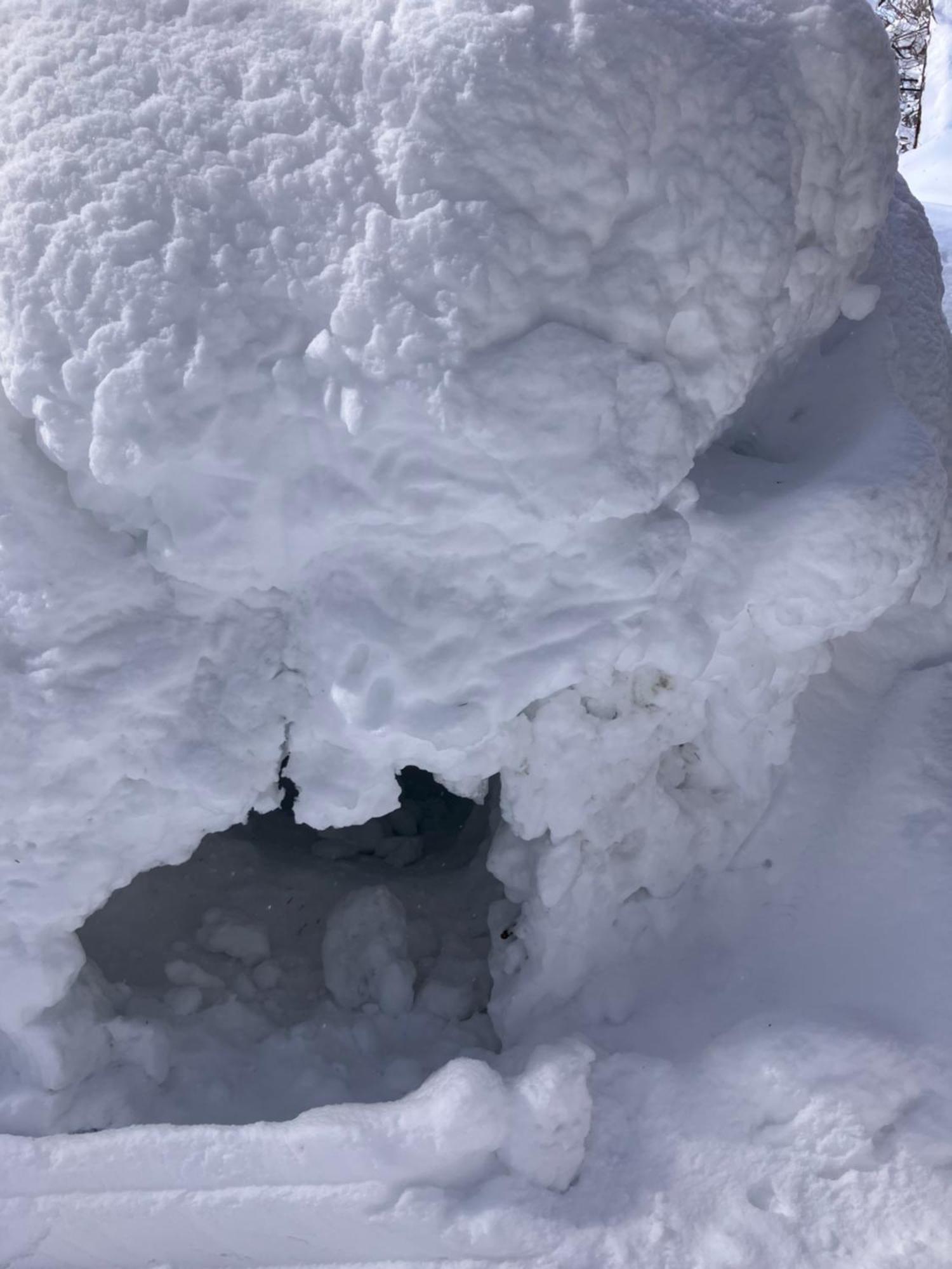 Hakuba Cottage Gram Exterior foto