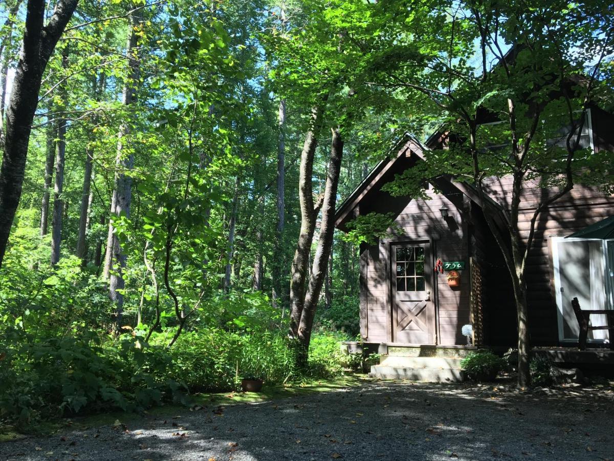 Hakuba Cottage Gram Exterior foto